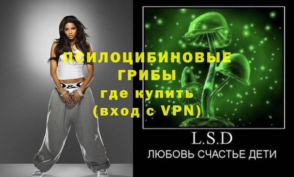 хмурый Абинск