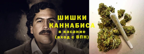 спайс Алексин
