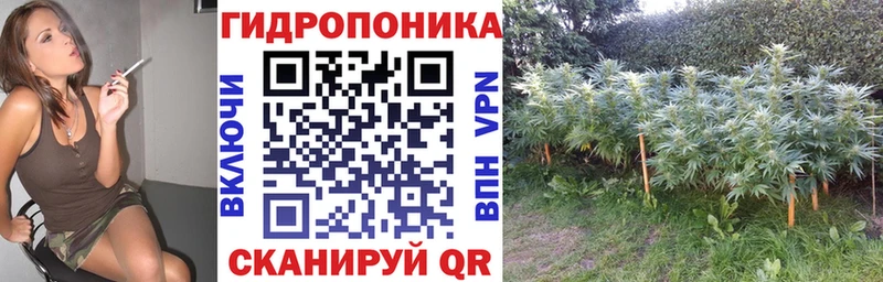 где купить наркоту  Сухой Лог  МАРИХУАНА LSD WEED 